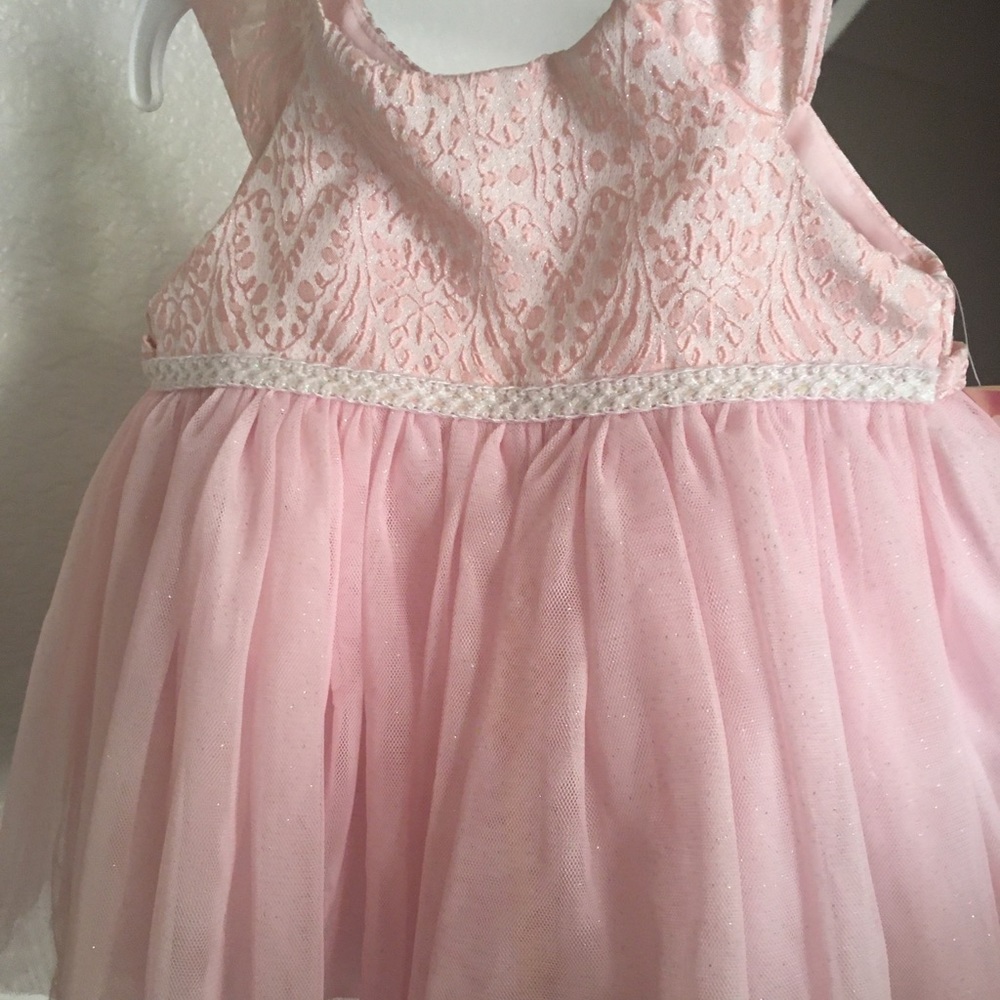 Sweet heart rose infant dress ! Never worn !